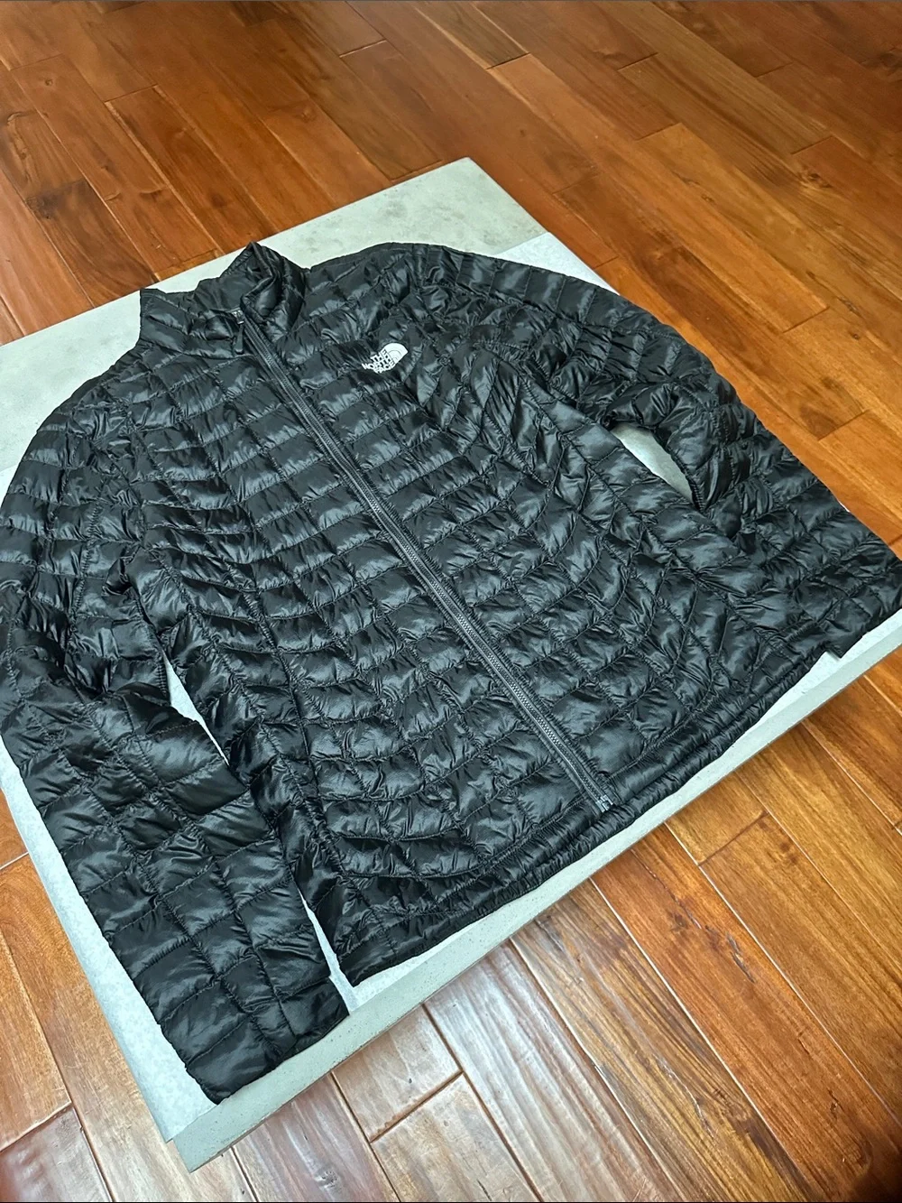 The North Face Men’s Black Lightweight Down Jacket